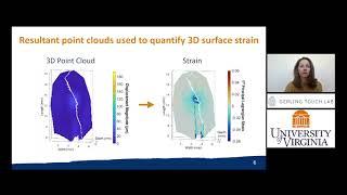 Kao et al., Digital Image Correlation for Skin Deformation, IEEE Haptics Symposium 2022