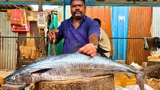 KASIMEDU  SPEED SELVAM | BIGG SEER FISH CUTTING VIDEO | IN KASIMEDU | FF CUTTING 