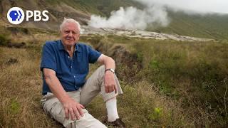 Attenborough's Life Journey | PBS NATURE Documentary