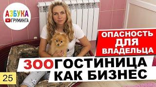 Зоогостиница как бизнес. Гостиница для животных - опасность для постояльцев?