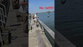 He will DROP 🫣 This fish of the season!!! No Net!!!