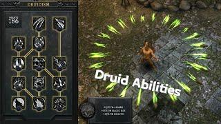 Anima ARPG - Druid Abilities