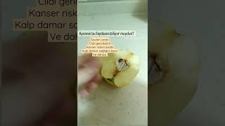 Ayvanın faydaları. Pratik bilgiler. Faydalı bilgiler.
