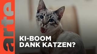 Was hat KI mit Katzen zu tun? (4/6) | Silicon F***ing  Valley | ARTE