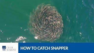 How to catch snapper with Al McGlashan | Club Marine TV