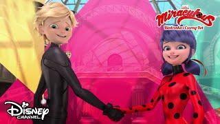  Casting na Biedronkę i Czarnego Kota | Miraculous: Biedronka i Czarny Kot | Disney Channel Polska