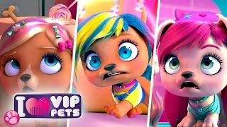  FUN & HAIR  VIP PETS  HAIRSTYLES ‍️ Full Episodes  CARTOONS for KIDS in ENGLISH