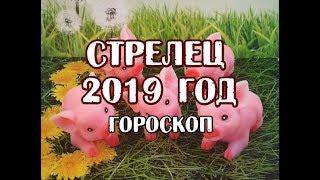 Стрелец. Гороскоп на 2019 год. Таро Телема.