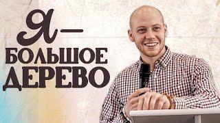 Я — большое дерево | Рувим Бандура | 22.09.2024