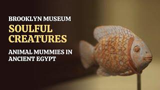 Soulful Creatures: Animal Mummies in Ancient Egypt | Brooklyn Museum