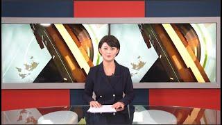 欧视TV-新闻24分：法国很可能已经处于第五波疫情的开端；第一次世界大战停战纪念日；法国宇航员托马斯·佩斯凯已返回地球；2021年双十一聚焦温暖 ；美国国会议员进入台防务部门；岸田政权“真正起航”