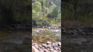Nature of Uzbekistan