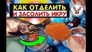 Как засолить икру горбуши, как очистить икру от плёнки