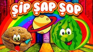 Walnut Man & Watermelon Man & Planets Educational Songs for Kids Cartoon Tele Mini