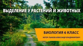 Выделение у растений и животных