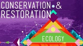 Conservation and Restoration Ecology: Crash Course Ecology #12