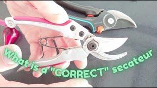 What is a "correct" secateur for a weaver. (English subtitles)