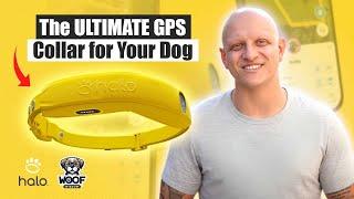 Halo Collar 4 Review by Sammy C: How This GPS Dog Collar Keeps Your Pet Safe and Secure!