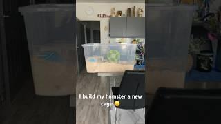 I build my hamster a new bin cage