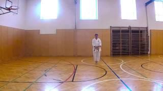 Gerhard Jion-Bassai Dai