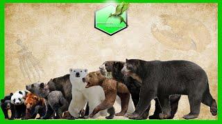 Bear Species Comparison LİVİNG EXTİNCT