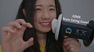 ASMR Brain Eating  Ear Blowing, Breath Sounds, 3dio (No Talking, 1 Hr)