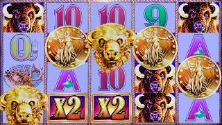 $6 MAX BET - UNEXPECTED BONUS on Buffalo Gold