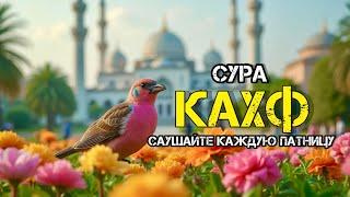  Сура Кахф سورة الكهف сегодня это сунна! слушать обязательно! Очень красивое чтение!