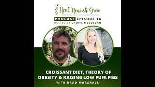 Croissant Diet, Theory of Obesity and Raising Low PUFA Pigs