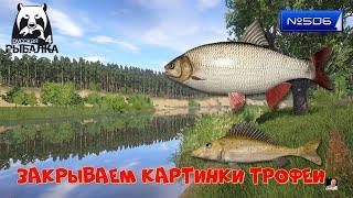 #Стрим#Russian Fishing 4№ 506( рыбачим для души )закрываем картинки трофеиЯзь и Ёрш носарь