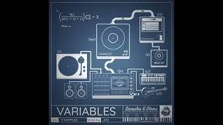 Hip Hop Samples 2022 - Variables (Hip Hop/RNB/Trap Sample Pack)