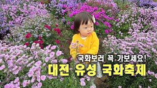 2024 대전 유성 국화축제 ㅣ꽃구경하러 가보세요 #대전유성국화축제 #꽃구경 #가족브이로그 #삼남매육아