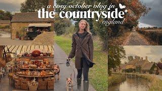 a cosy october vlog: autumn in the english countryside ️