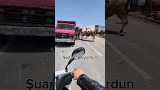 Ah ah #fyp #kurye #kayseri #motovlog