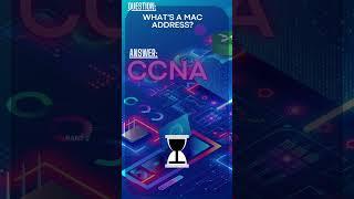 Unveil the Secrets: Free Cisco CCNA Q&A for Networking Mastery!