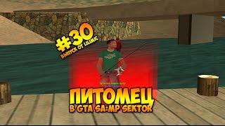 #30 Питомец в GTA SA:MP SEKTOR!