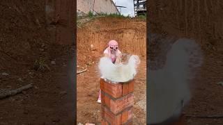Breaking it all #comedy