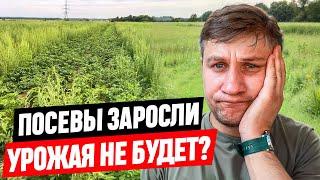 КАК Я ДОКАТИЛСЯ ДО ЖИЗНИ ТАКОЙ, ЧТО ТЕПЕРЬ ДЕЛАТЬ ?