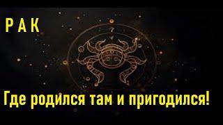 Рак - характеристика знак зодиака. Школа астрологии Virgo в Астане