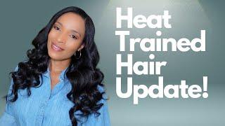 Heat Trained Natural Hair Update Haircut, Protective Styling + Length Check