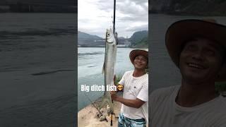 First time catching big ditch fish at Song Da hydroelectric power station! #shorts