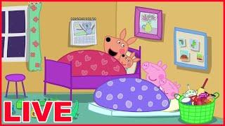  LIVE | Nonstop Peppa Pig Livestream - Join the Fun 24/7!  |