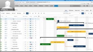 BigPicture for JIRA Training