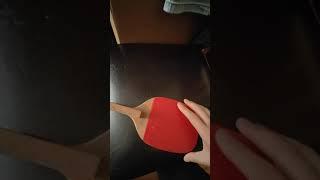 Yasaka 武藏日直 (Table Tennis 乒乓球 )