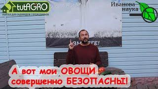 ИЗМЕРЯЕМ НИТРАТЫ В СВОИХ ОВОЩАХ. ВЫРАЩЕНО НА КОМПОСТЕ, С НАВОЗОМ и С ПРЕПАРАТАМИ. Какие результаты?