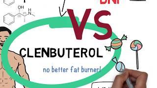 Clenbuterol (Clen) - A Foolproof Illustrated Guide in 2019 [Video]