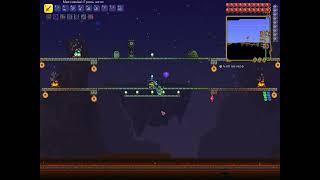 Terraria 12 пиратские нашествия и дао пуха