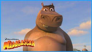 I Like Them Big  | Madagascar: Escape 2 Africa | DreamWorks Madagascar