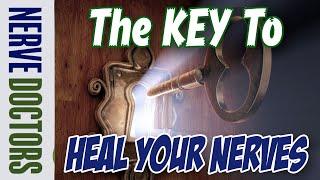 The Key To Heal Your Nerves - The Nerve Doctors