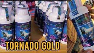 HORSE FEED || TORNADO GOLD || RANSI HORSE SHOW 2023